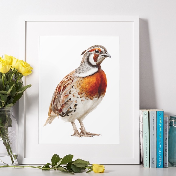 Watercolor Quail Wall Art Print, Unframed - Vibrant Nature-Inspired Home Decor - Picture 6 of 6